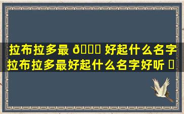 拉布拉多最 🐞 好起什么名字（拉布拉多最好起什么名字好听 ☘ ）